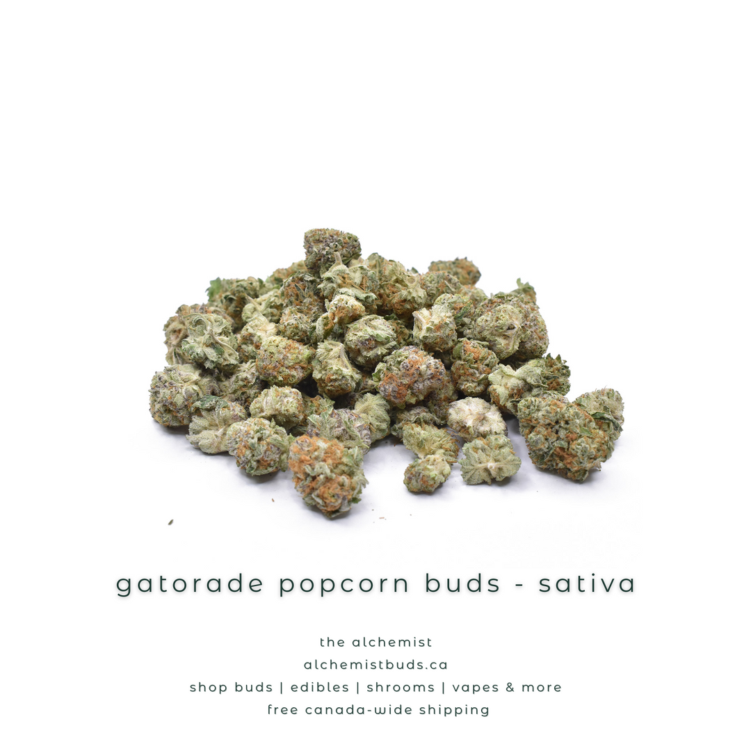 AAAA POPCORN BUDS | GATORADE - SATIVA