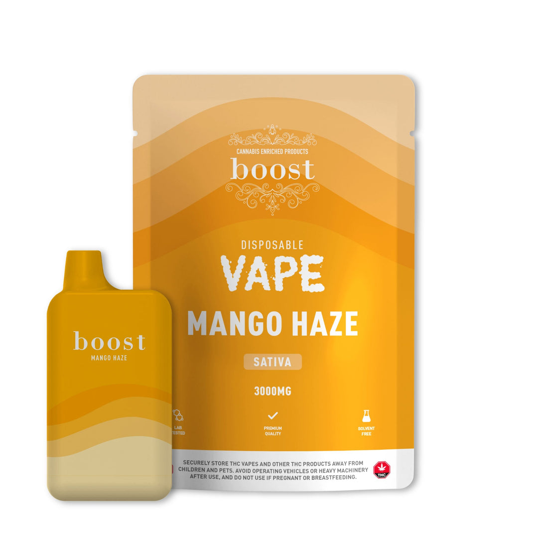 STYLO VAPE JETABLE BOOST THC | 3G