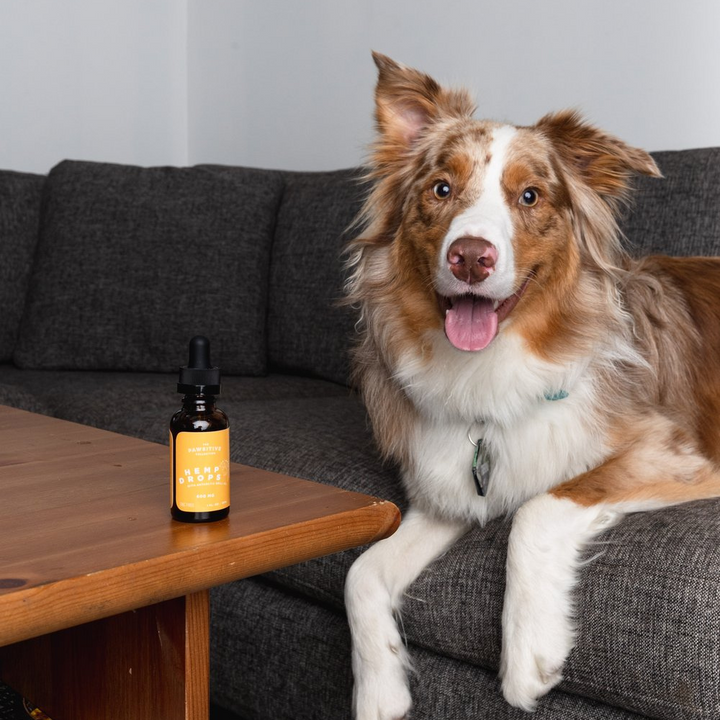 PAWSITIVE PET ISOLATE HEMP DROPS 60-100LBS - 600MG CBD