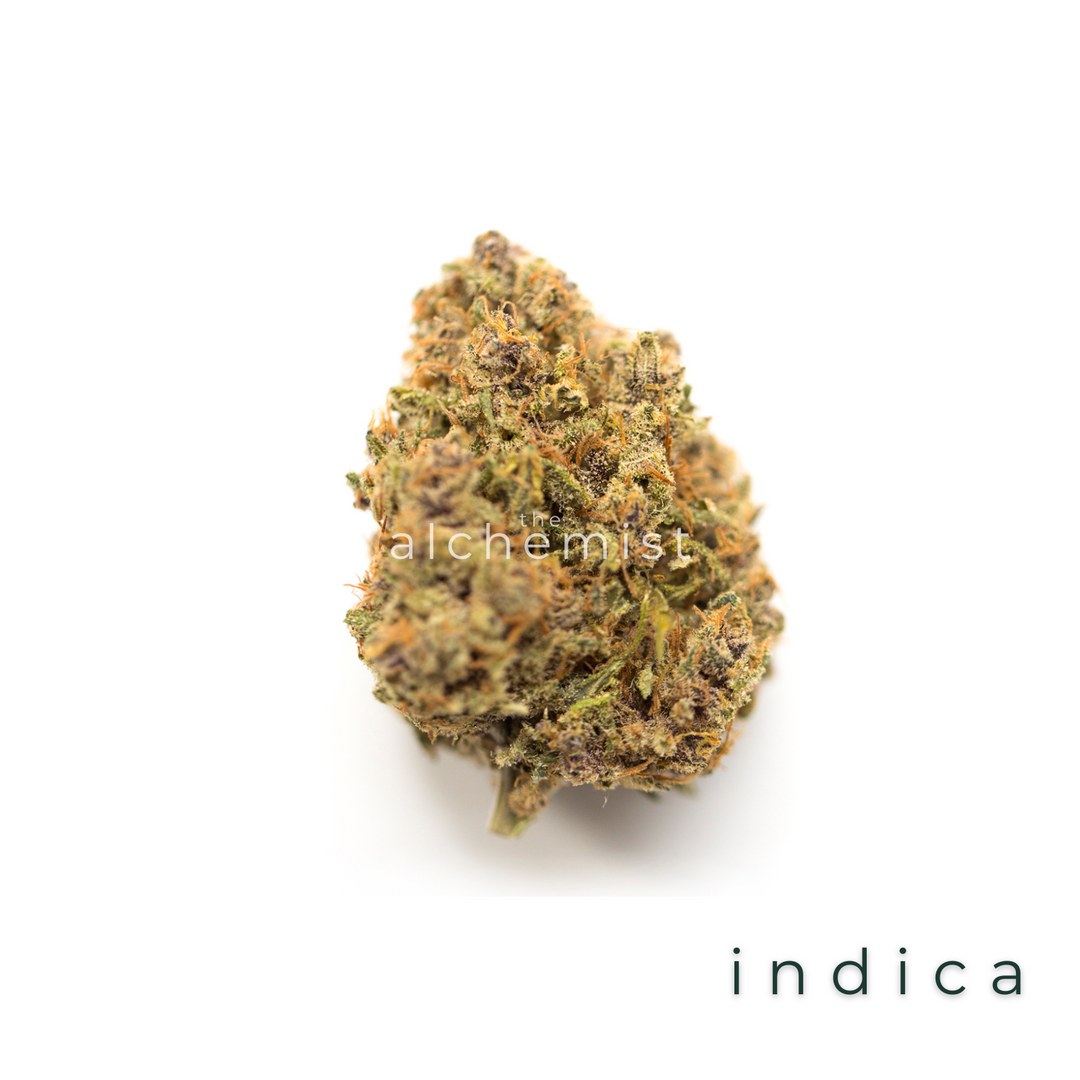 AAAA | CRITICAL MASS - INDICA