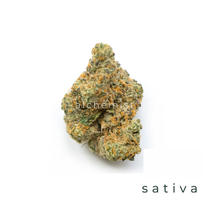 AAAA | MOBY DICK - SATIVA