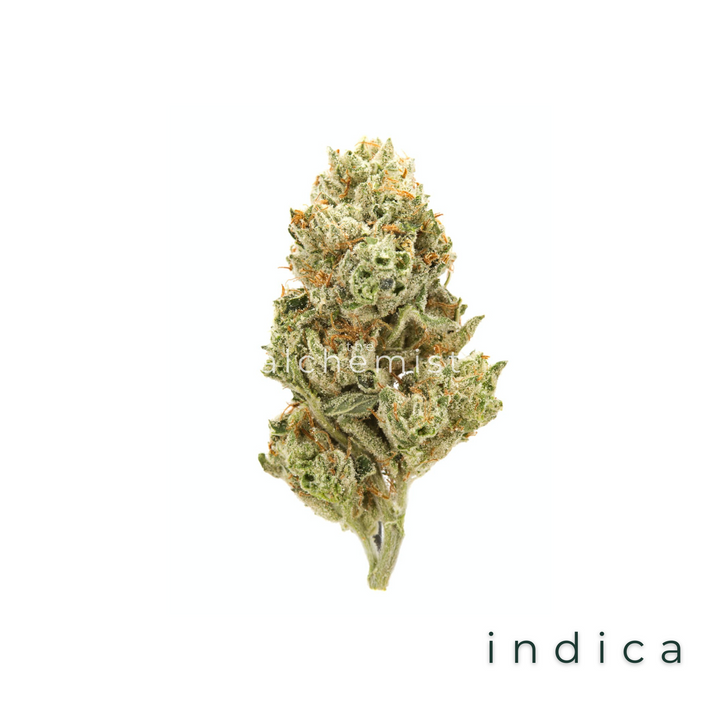 AAAA | OBSCURITÉ RARE - INDICA