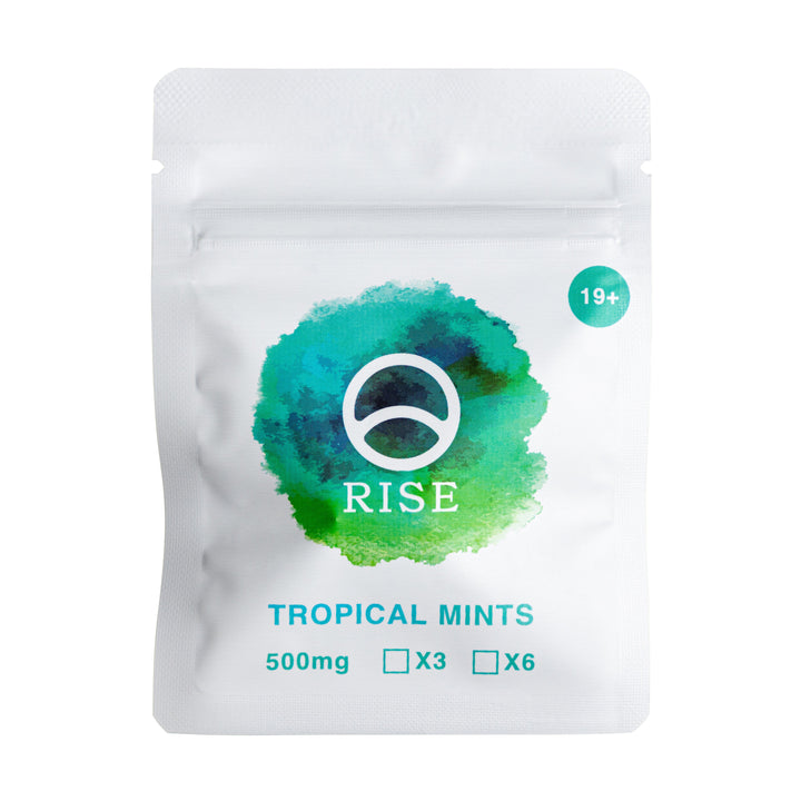 RISE SHROOMS MACRODOSE MINTS | 1500MG PSILOCYBIN