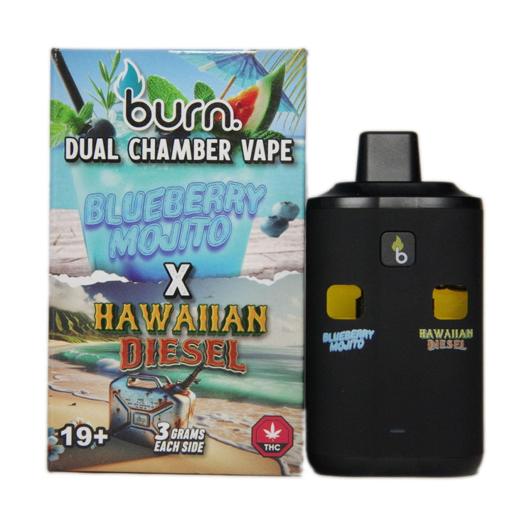 BURN. THC DUAL DISPOSABLE VAPE PEN | 6G