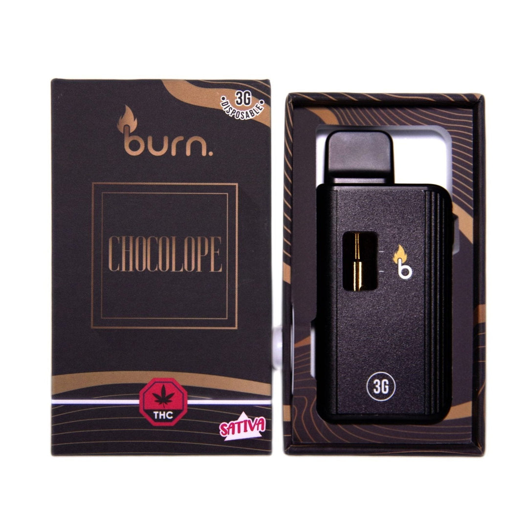 BURN. THC DISPOSABLE VAPE PEN | 3G