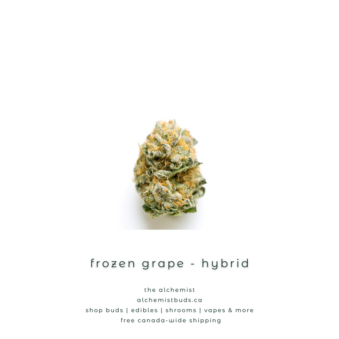 AAAA | FROZEN GRAPE - HYBRID