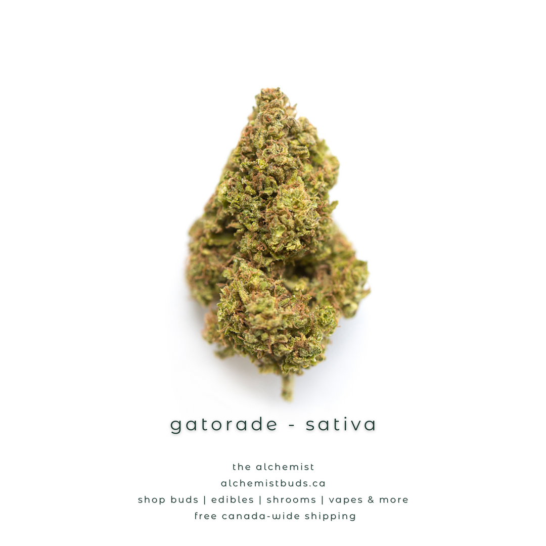 AAAA | GATORADE - SATIVA