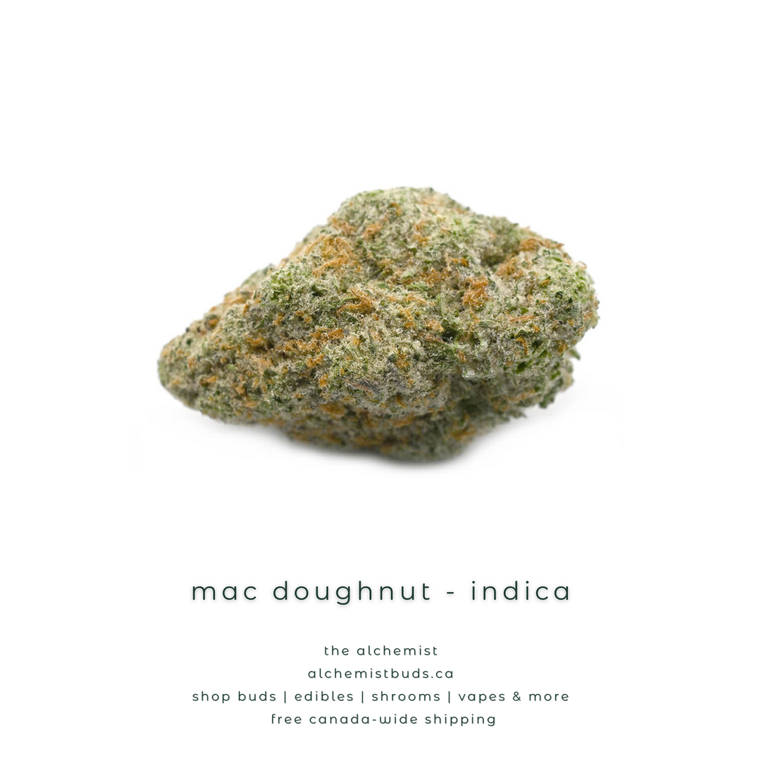 AAAA | MAC DOUGHNUT - INDICA